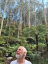 click me for full image