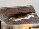 click me for full image