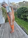click me for full image