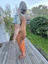 click me for full image