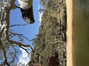 click me for full image
