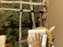 click me for full image