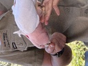 click me for full image