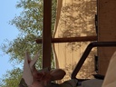 click me for full image